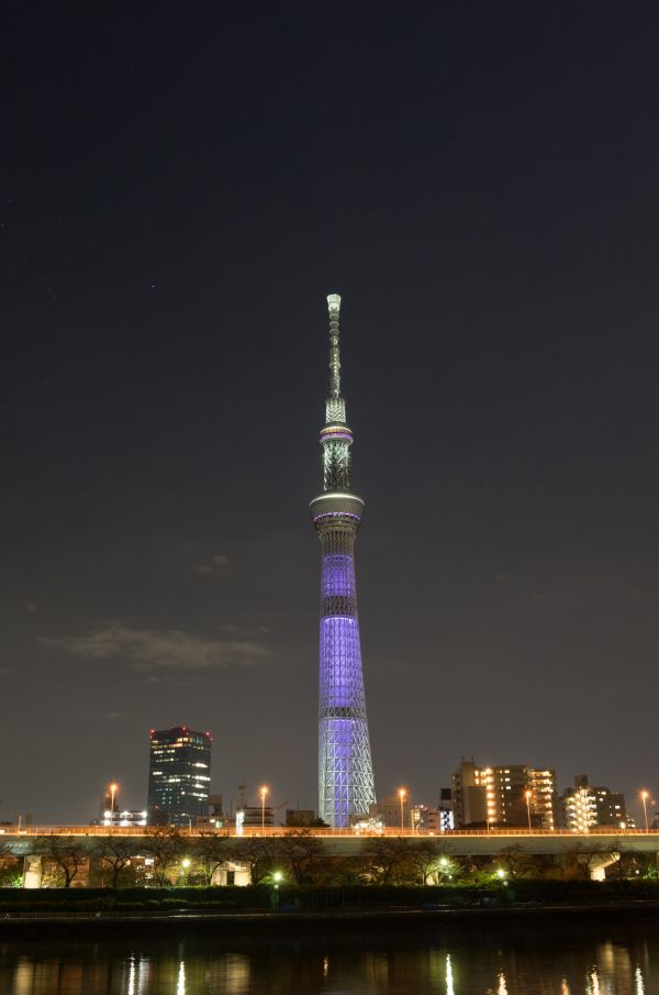 ญี่ปุ่น,เมือง,cityscape,กลางคืน,สถาปัตยกรรม,การสะท้อน