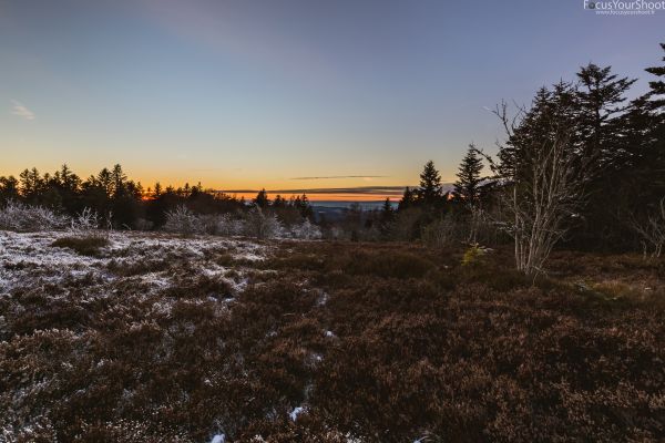 yellow, trees, sky, sunset, mountains, cold