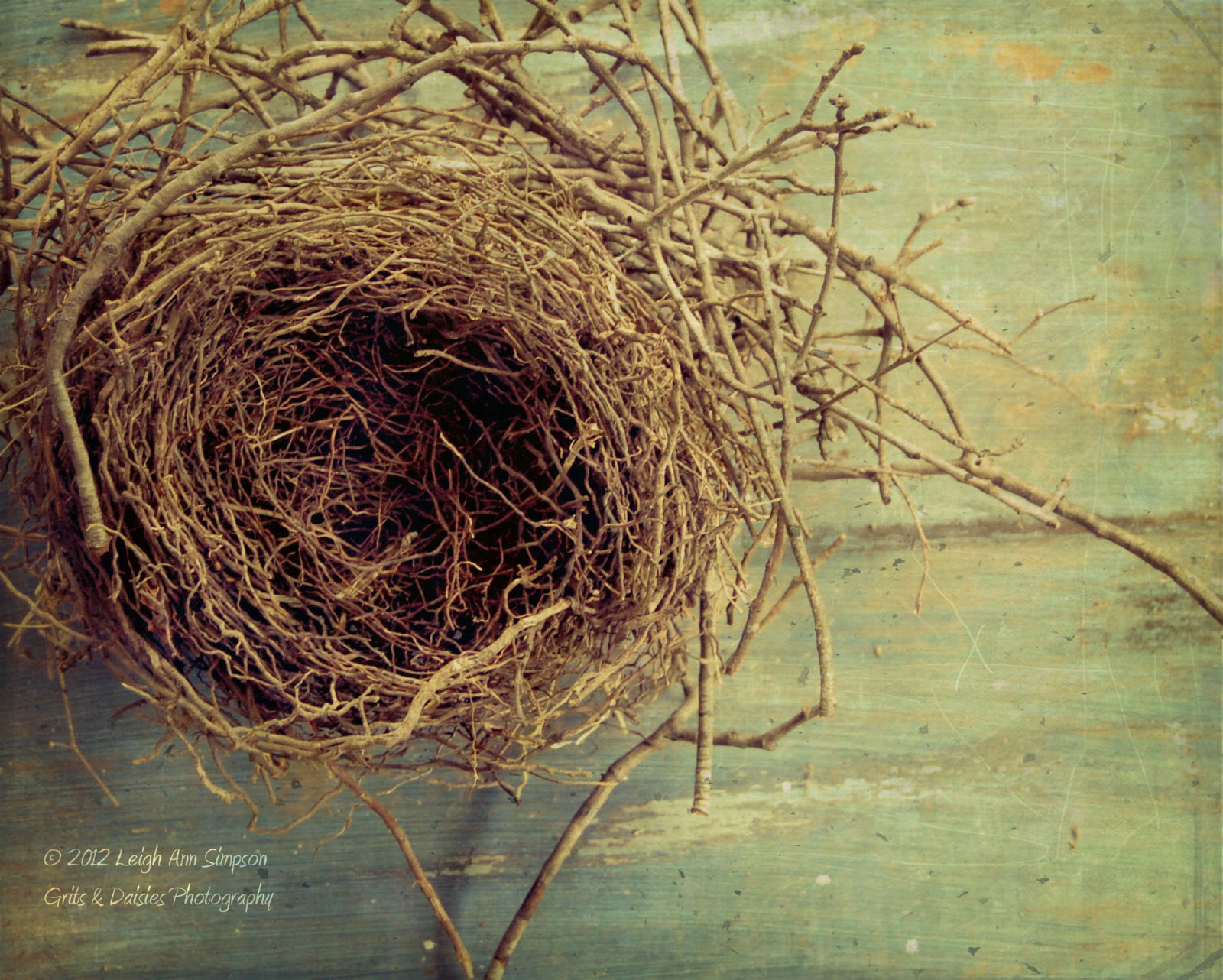 สีน้ำเงิน, สีน้ำตาล, นก, พื้นผิว, บ้าน, รัง, สาขา, 365, สร้าง, ละเอียดอ่อน, กิ่งไม้, แข็งแรง, หยิน, สมุดบัญชีแยกประเภท, msh0812, Kimklassen, msh081214, flyspatter, foundthisonmyfrontporchoneday, imnotsureifsomeoneleftitthereorifitoutofatreeontotheporch, augustmshentryamazingarchitecture