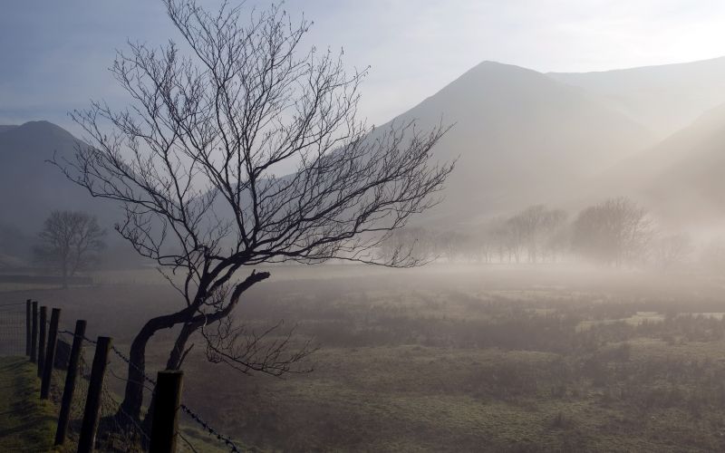 sunlight, trees, landscape, hill, nature, sky sunlight, trees, landscape, hill, nature, sky