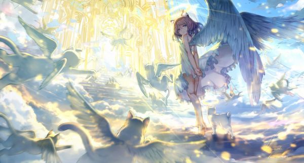 cat,1680x900 px,angel,animal,brown,catgirl
