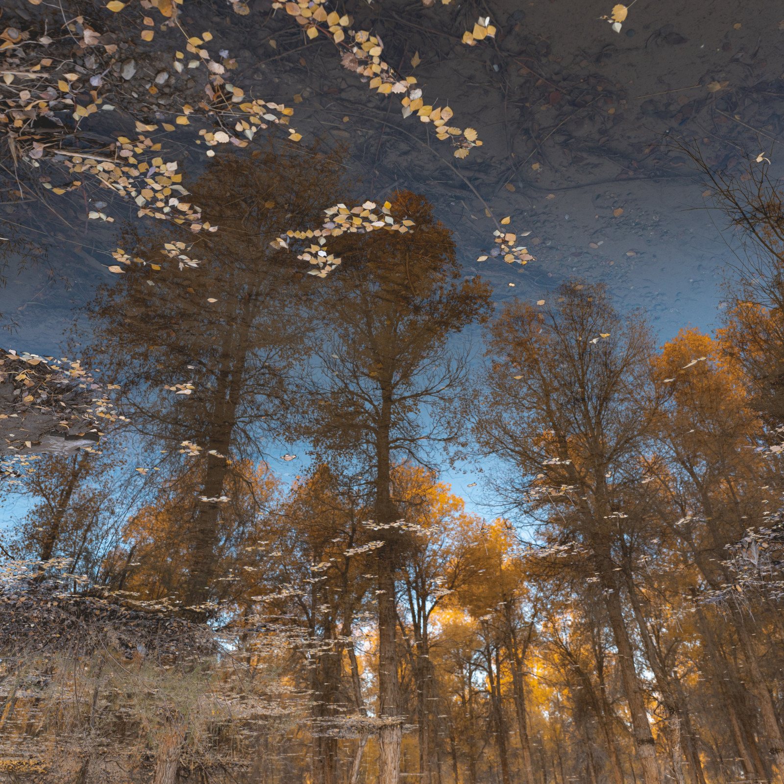 2020photographys, Kina