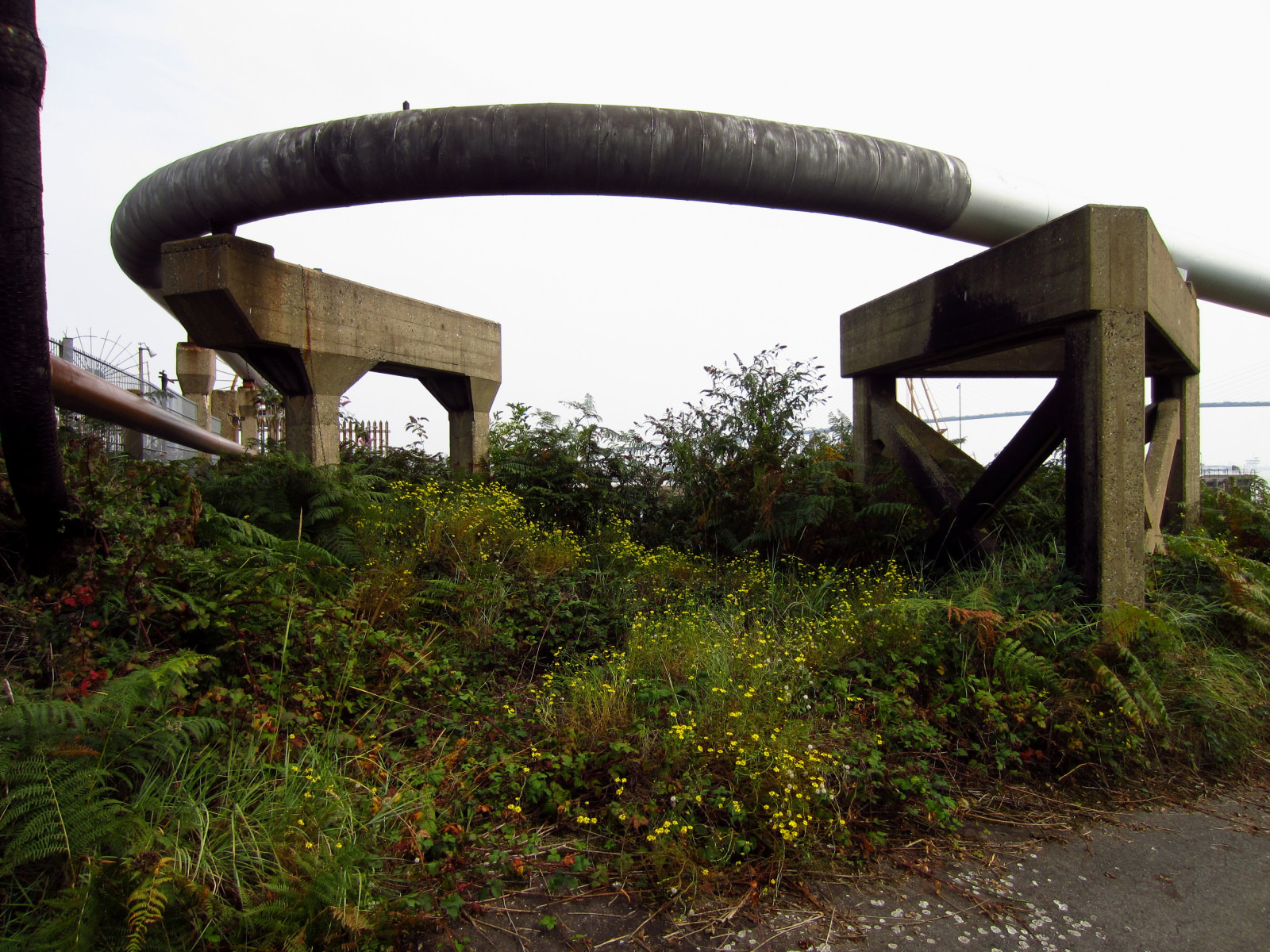 London, hest, græs, Minecraft, England, hund, flod, skibbrud, sten-, ko, sti, UK, industriel, kurvet, beton, infrastruktur, september, 2014, træ, gå, overfart, udforske, kæde, bendy, rør, storbritannien, forladte, thames, pyloner, lænket, alien, brændstof, kraftværk, Southbank, kabler, hjort, support, Greenhithe, Dartford, fairygrotto, littlebrook, fixed link