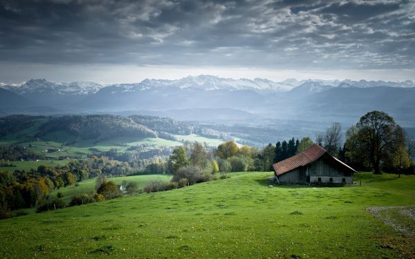 Serenity,lodge,open spaces,plain,landscape