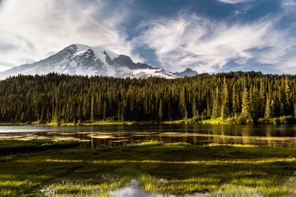 landscape, forest, hill, lake, water, trees
