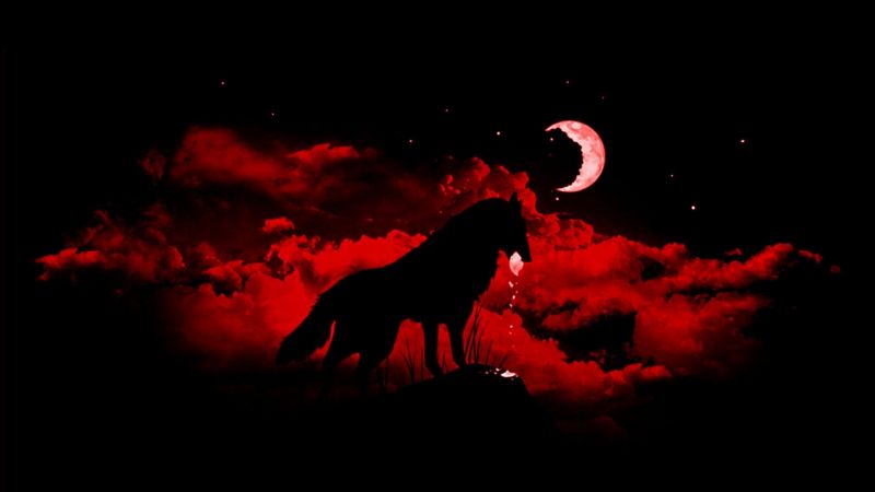 animals, fantasy art, night, Moon, red, silhouette animals, fantasy art, night, Moon, red, silhouette