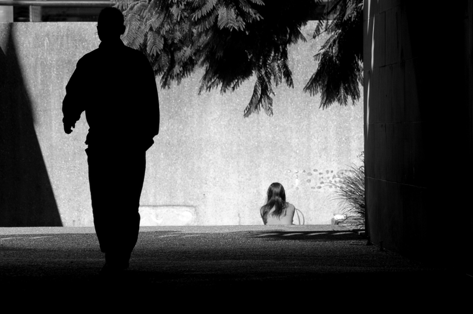 bílý, Černá, černobílý, stín, sedící, fotografování, silueta, Nikon, emoce, Austrálie, chůze, Sydney, světlo, strom, tělesné, muž, žena, radnice, tvar, fotografie, tma, obraz, momentka, stealingshadows, Černý a bílý, monochromatické fotografování, lidských pozice, Film noir, D70