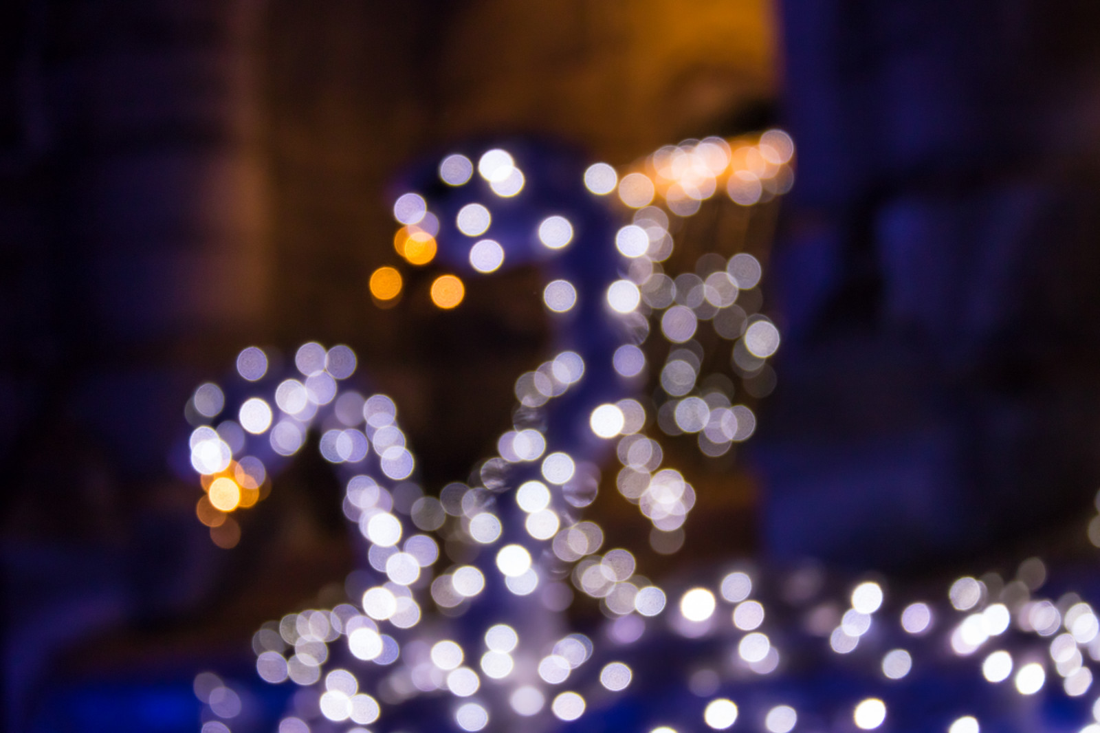 Wallpaper night, blue, swan, bokeh, christmas lights, light, color, flower, lighting, svan