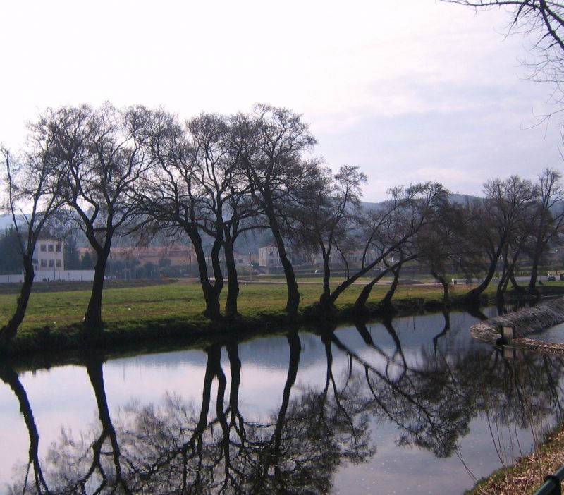 odraz, voda, strom, Příroda, vodní, dřevina odraz, voda, strom, Příroda, vodní, dřevina