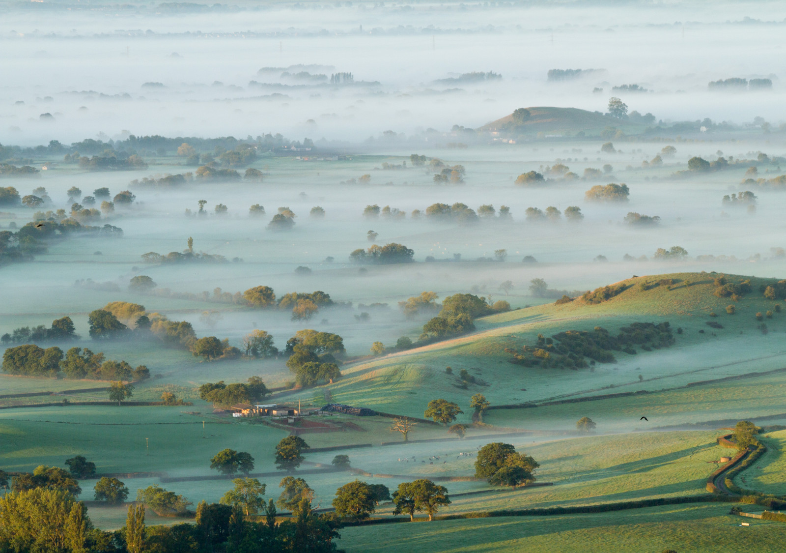 England October Wallpaper : UK, morning, autumn, trees, light, England, mist, beauty ...
