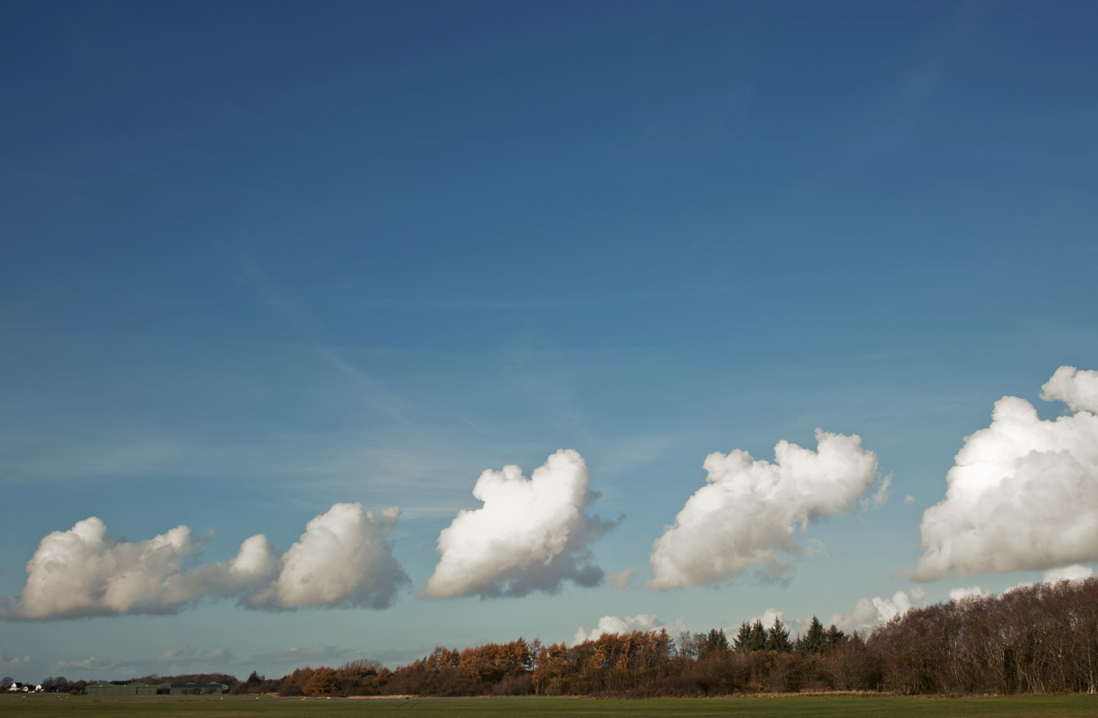 luce del sole, alberi, paesaggio, colorato, foresta, natura, erba, cielo, all'aperto, campo, fotografia, nuvole, calma, verde, mattina, Germania, Sole, vento, orizzonte, atmosfera, aeroporto, oro, Nord, steppa, nube, albero, d'oro, autunno, nuvoloso, splendore, ancora, vista, prateria, in crescita, foto, insieme, himmel, campagna, natur, deutschland, norden, agricoltura, prato, sigma, pianura, Foto, Herbst, wolken, giorno, Fotografie, energia, sincronizzazione, prateria, feld, area rurale, sfondo del computer, atmosfera della terra, fenomeno meteorologico, cumulo, DP1, fenomeno, holstein, ecoregione, Flughafen, Flensburg, Grun