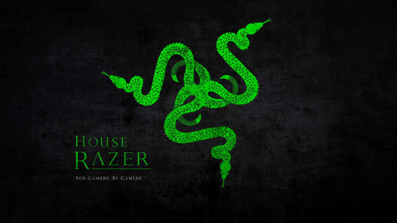 배경 화면 : 2560x1440 픽셀, 2k, 게이머, 녹색, 심벌 마크, 로고 타입, Razer Inc, 뱀, 인쇄술