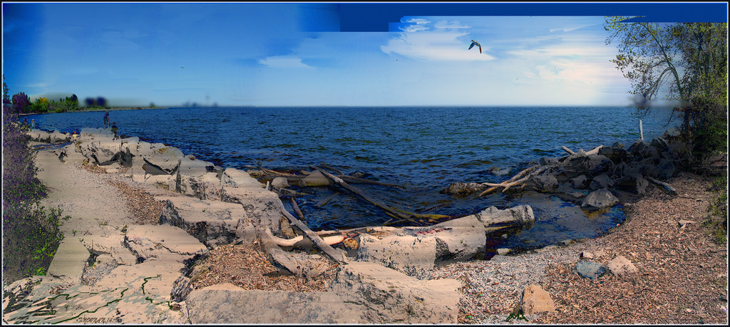 himmel, farve, træ, struktur, vand, digital, Photoshop, klipper, bølger, gås, sti, drivtømmer, bark, Lake Ontario, splejset, awardtree