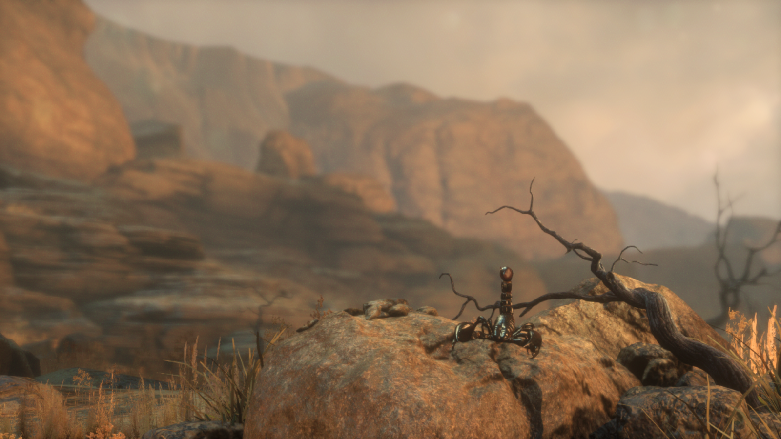 landskab, computerspil, klippe, natur, aften, morgen, dal, ødemark, Tomb Raider, Rise of the Tomb Raider, Terræn, Sky, bjerg, geologi, atmosfærisk fænomen, geografisk funktion