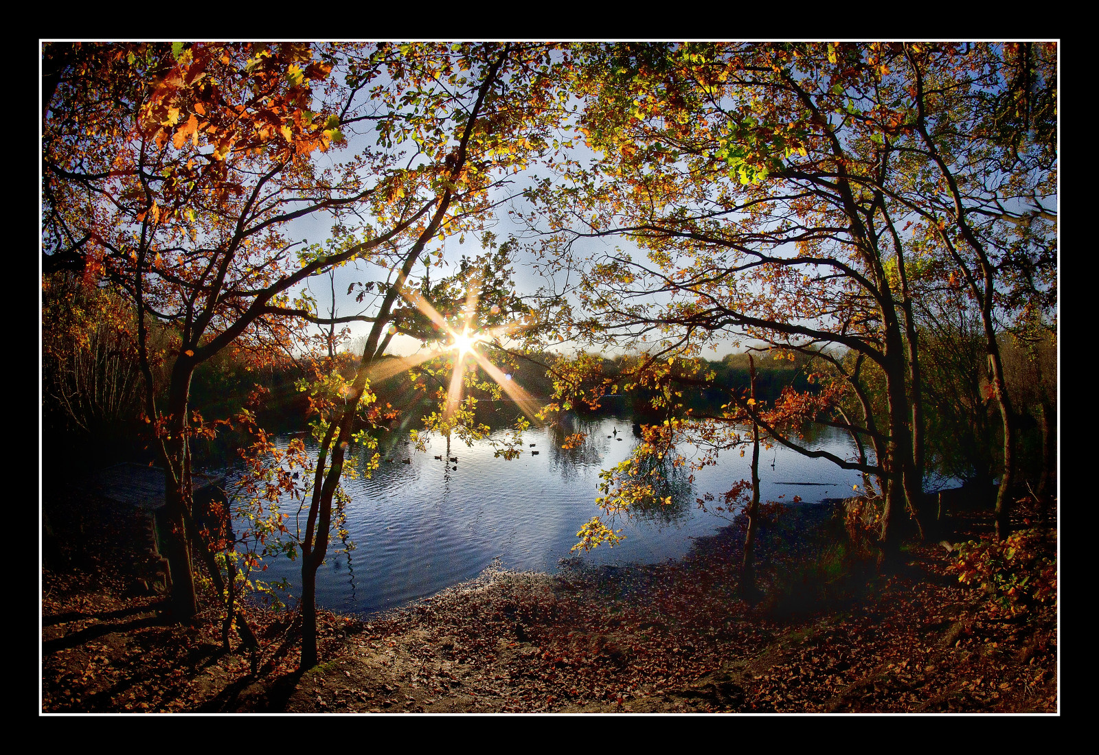 slunečnímu záření, stromy, krajina, les, listy, západ slunce, jezero, voda, Příroda, odraz, nebe, větev, večer, ráno, seasons, řeka, slunce, atmosféra, rybník, banka, sluneční paprsky, bažina, pentax, mokřadní, mrak, strom, podzim, list, rostlina, K5, les, vodní tok, Samyang, sluneční paprsky, Wakefield, nebe, bayou, zálesí, háj, bažina, dřevina, kufr, smíšený les, opadavý, národní park, stanley, stanleymarsh, theatrical scenery