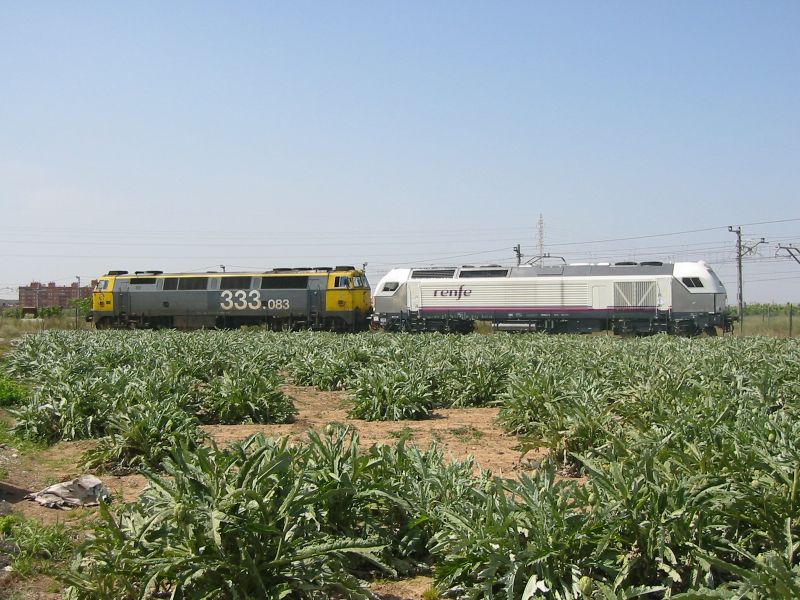 doprava, vlak, železniční doprava, vozidlo, kolejová vozidla, pole