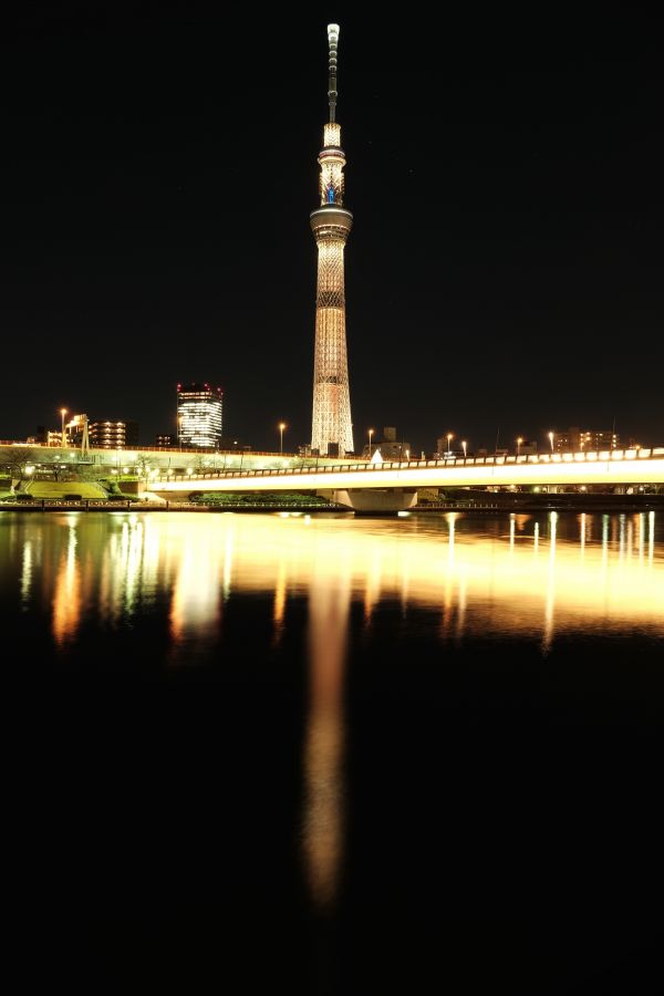 city,cityscape,night,architecture,reflection,skyline