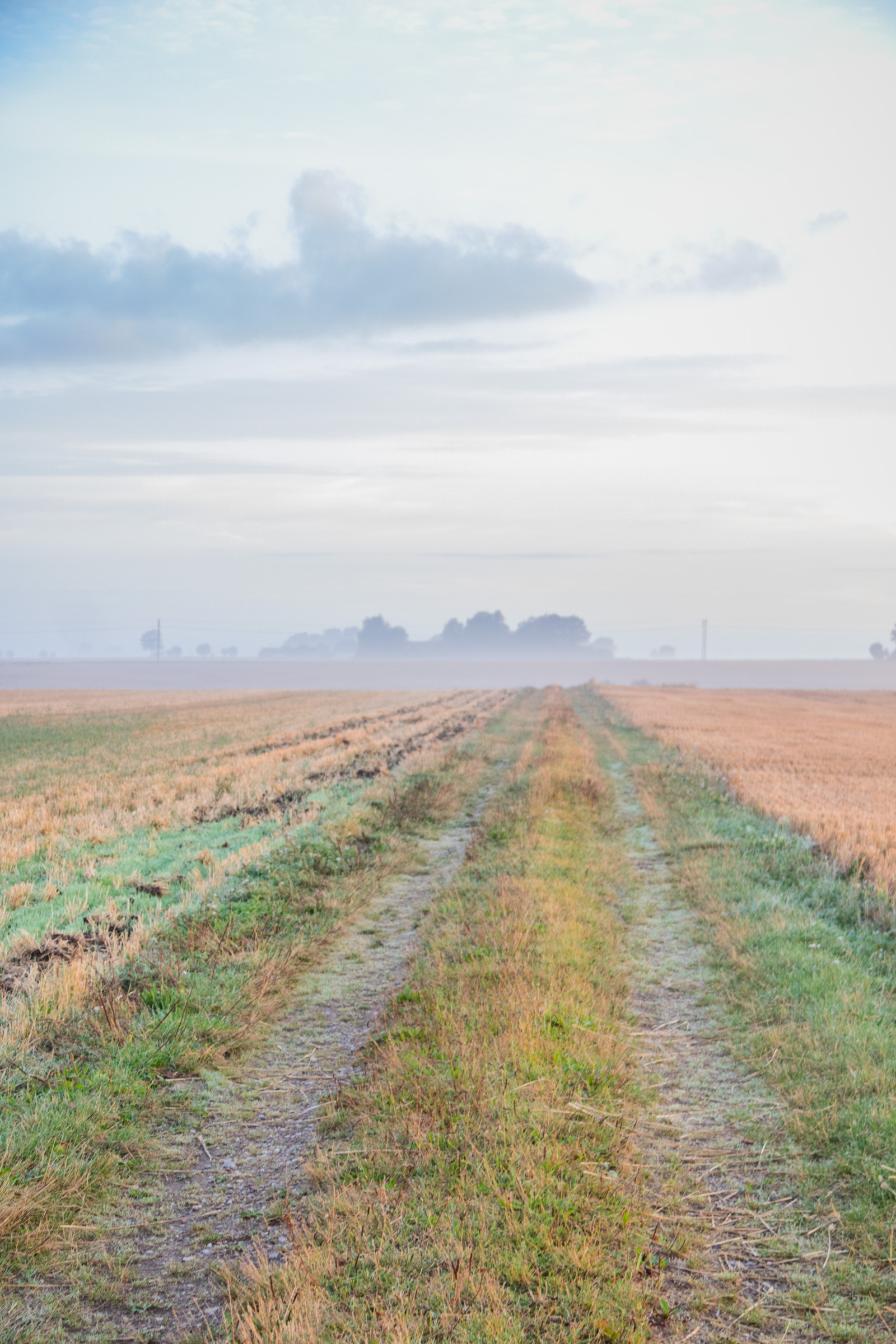 paesaggio, collina, erba, cielo, campo, strada, Alba, mattina, nebbia, strada sterrata, orizzonte, altopiano, rurale, steppa, zone umide, nube, nebbia, prateria, himmel, Dimma, campagna, moln, landsbygd, soluppg ng, s dersl TT, Landskap, modello canoneos760d exif, geocountry, Marca fotocamera Canon, Geocity, modello di fotocamera canoneos760d, geostate, geolocalizzazione, Lente exif efs18200mmf3556is, exif fare canon, exif ISOSPEED 320, apertura exif 50, exif focalLength 40 millimetri, Morgon, Gisl v, vag, agricoltura, prato, pianura, prateria, raccolto, suolo, palude, area rurale, habitat, ambiente naturale, ecosistema, famiglia di erba