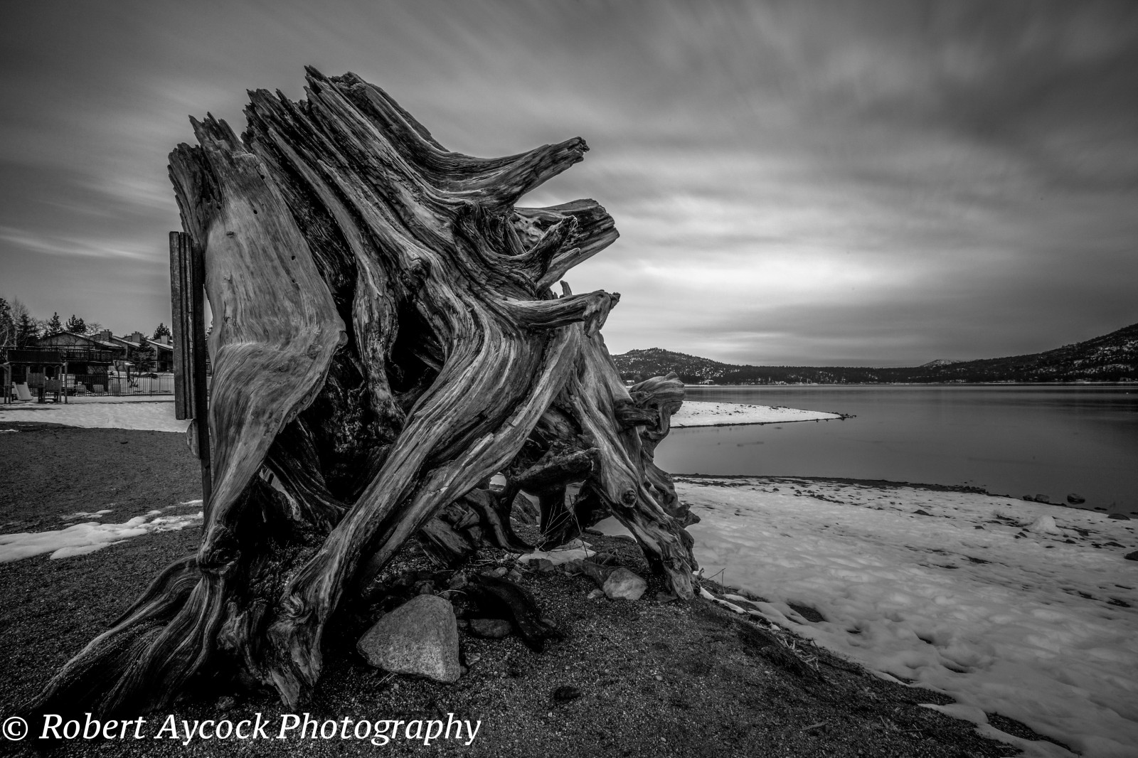 stromy, krajina, les, bílý, Černá, hory, starý, černobílý, moře, starověký, Skála, Příroda, nebe, venku, strašidelný, sníh, zima, fotografování, mraky, dřevo, detailní, Studený, jednoduchý, slunce, sochařství, socha, Kalifornie, letní, jihozápadní, jehly, Nikdo, šedá, životní prostředí, ekologie, průzkum, kůra, Vzácný, UMĚNÍ, Černý a bílý, Terén, klidný, mrak, západ, strom, národní, osamělý, holý, den, osamělý, hora, vysoký, skalnatý, hrabství, skvělý, rostlina, krása, sezóna, přírodní, Pozadí, vlna, dof, mimo, strašidelný, neobvyklý, větve, dálkový, singl, tma, borovice, dobrodružství, mezník, Spojené státy, americký, během dne, kužel, Černý a bílý, monochromatické fotografování, Inyo, White Mountains, baretree, štětina, bristlecone, bristleconepines, ancientbristleconepineforest