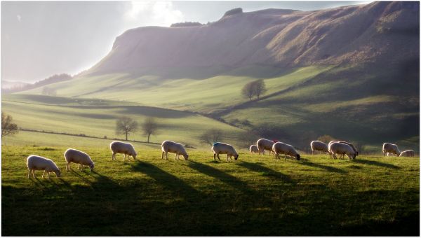 landscape,cycling,Scotland,sheep,dundee,hills