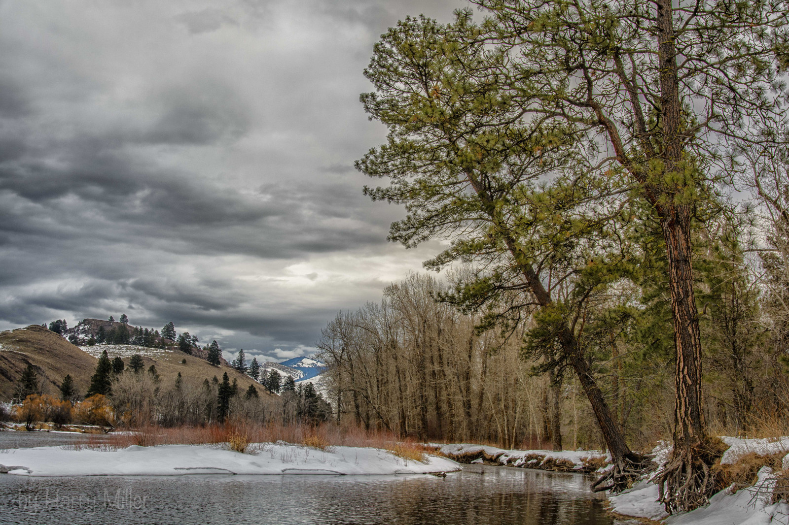 Bitterrootriver, Ağaçlar, nehir, kış, Açık havada, Missoula, Montana, Bulutlar, gökyüzü, Maclayflats