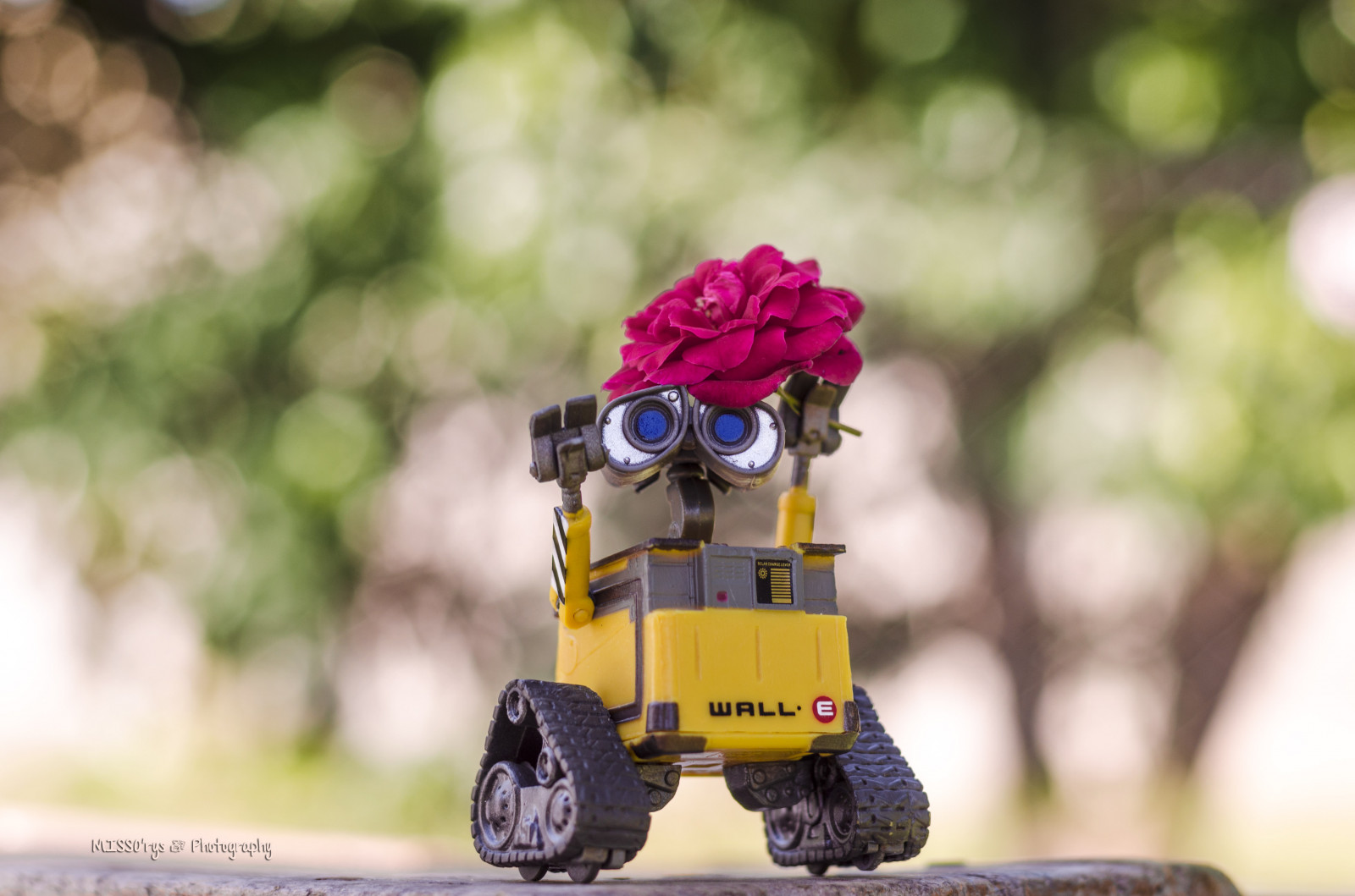 Ahoj, svět, život, Fotoaparát, parque, naturaleza, flores, květ, barva, strom, roztomilý, milovat, Příroda, Argentina, Photoshop, zahrada, objektiv, fotografování, robot, fotografie, Nikon, arboles, foto, fotograf, bokeh, Buenos, aires, Disney, plný, amarillo, Pixar, kawaii, Vítejte, NIKKOR, f18, Fotografo, saludo, hola, jardin, fotografia, camara, Walle, nikonista