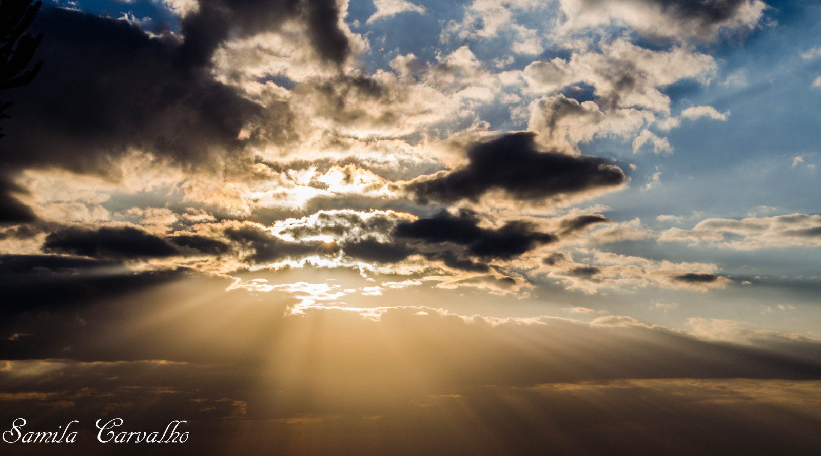 sollys, solnedgang, interiør, himmel, Engel, solopgang, aften, morgen, Sol, alene, horisont, atmosfære, Gud, skumring, Sol, lys, Land, Sky, daggry, solskin, stilhed, billede, rememberthatmoment, luz, Husk, nuvens, atmosfære af jord, efterglød, meteorologisk fænomen, cumulus, youre, Sao Paulo, Luzes, CEU, deus, raios, raiosdesol, tempestades, youremysunshine