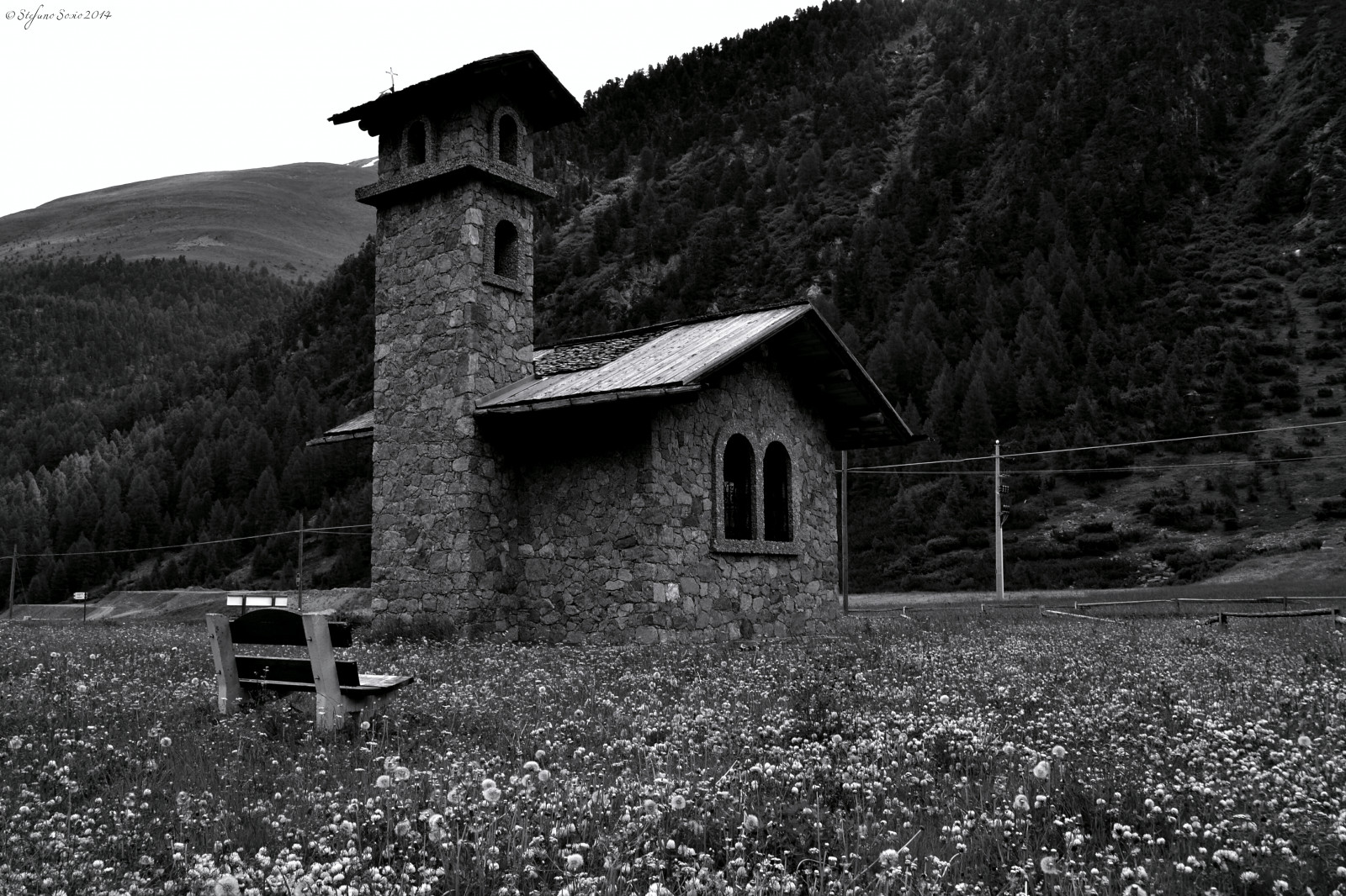 starý, cestovat, květiny, tělesné, panoráma, bílý, hora, Černá, Alpy, kostel, Krásná, pole, lavice, Černá bílá, pěkný, Klid, náboženství, složit, Duše, campo, fiori, alpi, 18200, montagna, paesaggio, Livigno, klid, pozastaveno, bello, panchina, passo, pauza, fiorito, quiete, tranquillita, Fioriti, Forcola, fotonikon3100