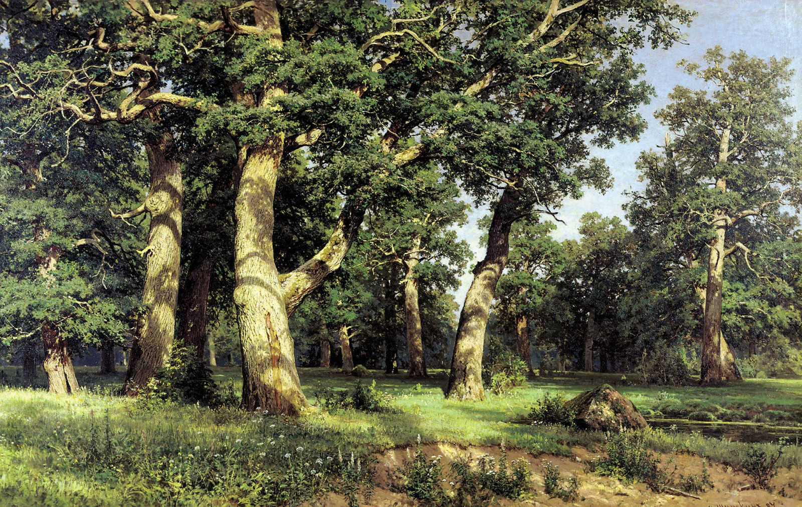 alberi, foresta, natura, giungla, foresta pluviale, albero, fiore, pianta, flora, vegetazione, piantagione, bosco, boschetto, area rurale, habitat, ambiente naturale, botanica, impianto di terra, pianta fiorita, pianta legnosa, ecosistema, Arecales, deciduo, savana