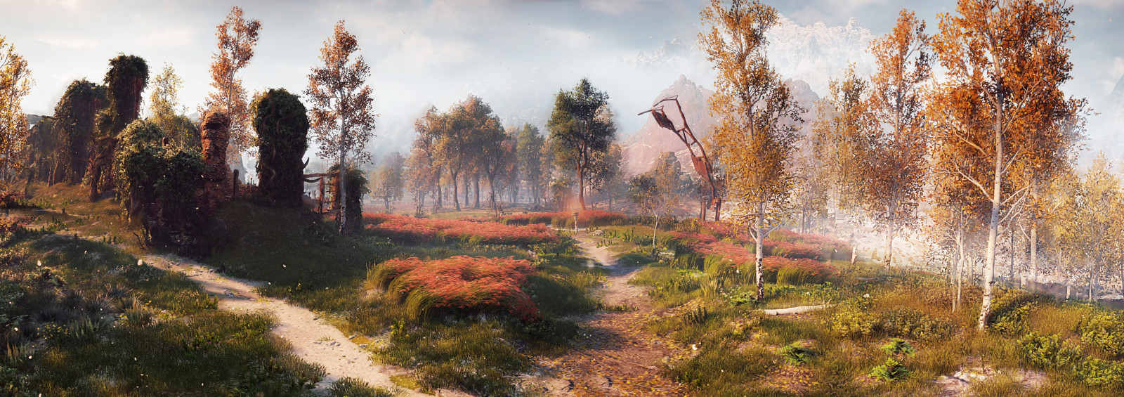 slunečnímu záření, krajina, les, Příroda, tráva, nebe, horizont, národní park, Nula, strom, podzim, svítání, zálesí, mírné jehličnatý les, biome, PS4