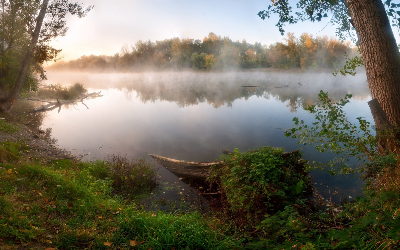 slunečnímu záření, stromy, krajina, les, jezero, voda, Příroda, odraz, tráva, rostliny, mraky, větev, ráno, mlha, řeka, divočina, rybník, proud, mokřadní, strom, podzim, nádrž, 2880x1800 px, zálesí, jezero, místo výskytu, přírodní prostředí, atmosférický jev, vodní, tělo z vody