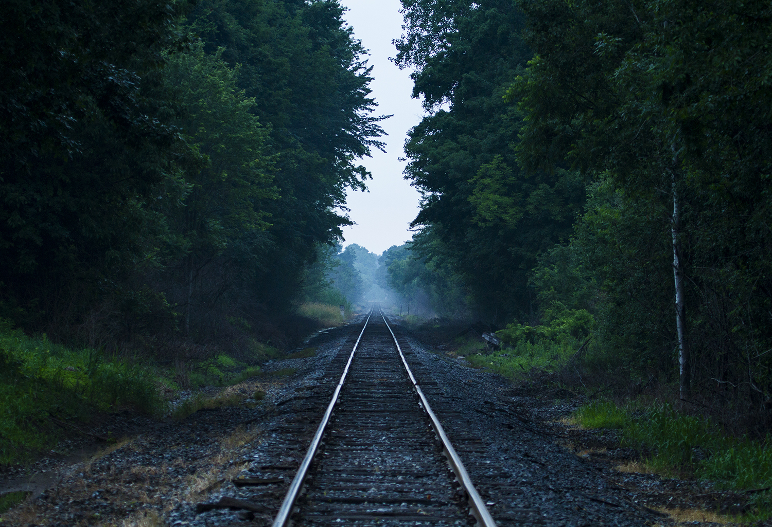 แสงแดด, ป่า, กลางคืน, ธรรมชาติ, หญ้า, สีเขียว, เช้า, หมอก, Canon, เพลง, อุโมงค์, ขนส่ง, ชนบท, โครงสร้างพื้นฐาน, 2014, เบา, ประเทศ, ลึกลับ, ต้นไม้, หมอก, กรกฎาคม, ความมืด, ติดตาม, สุ่ม, 4thofjuly, ป่าไม้, เขตชนบท, ถิ่นที่อยู่, สภาพแวดล้อมทางธรรมชาติ, ปรากฏการณ์บรรยากาศ, หุ้นรีด, ทางรถไฟ, rr, july4th