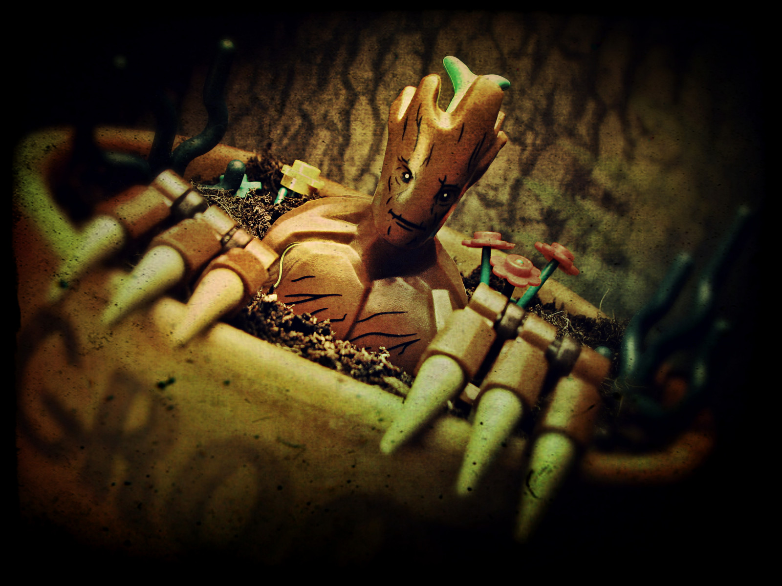 กาแลคซี, เลโก้, Groot, การ์ตูน, กำหนดเอง, ศิลปะ, ต้นไม้, ปลูก, มือ, สนุก, นิ้ว, ความมืด, ประหลาดใจ, ผู้ปกครอง, วอลล์เปเปอร์คอมพิวเตอร์, การถ่ายภาพมาโคร, สิ่งมีชีวิต