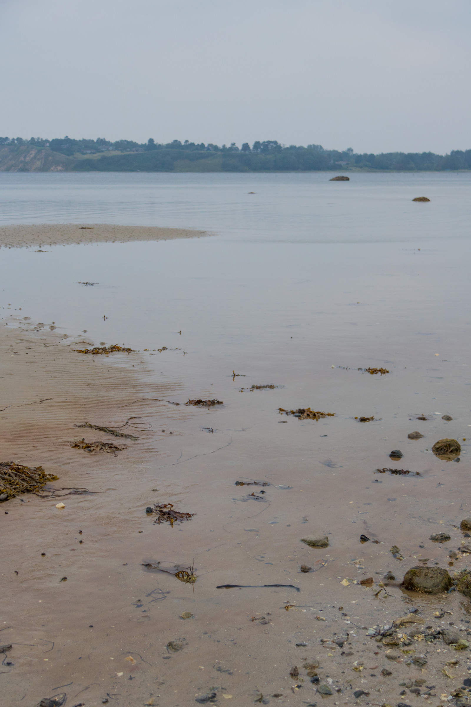 moře, záliv, jezero, voda, pobřeží, písek, odraz, pláž, pobřeží, horizont, kámen, Dánsko, mokřadní, oceán, vlna, pramen, vatten, hav, Danmark, materiál, kust, exif modelu canoneos760d, geocountry, Kamera aby kánon, geocity, Model fotoaparátu canoneos760d, geostate, geolocation, EXIF čočka efs18200mmf3556is, exif aby kánon, EXIF otvor 40, exif focallength 35mm, exif isospeed 400, sten, kulhuse, bažina, místo výskytu, přírodní prostředí, tělo z vody, mělčina při ústí řeky, ústí