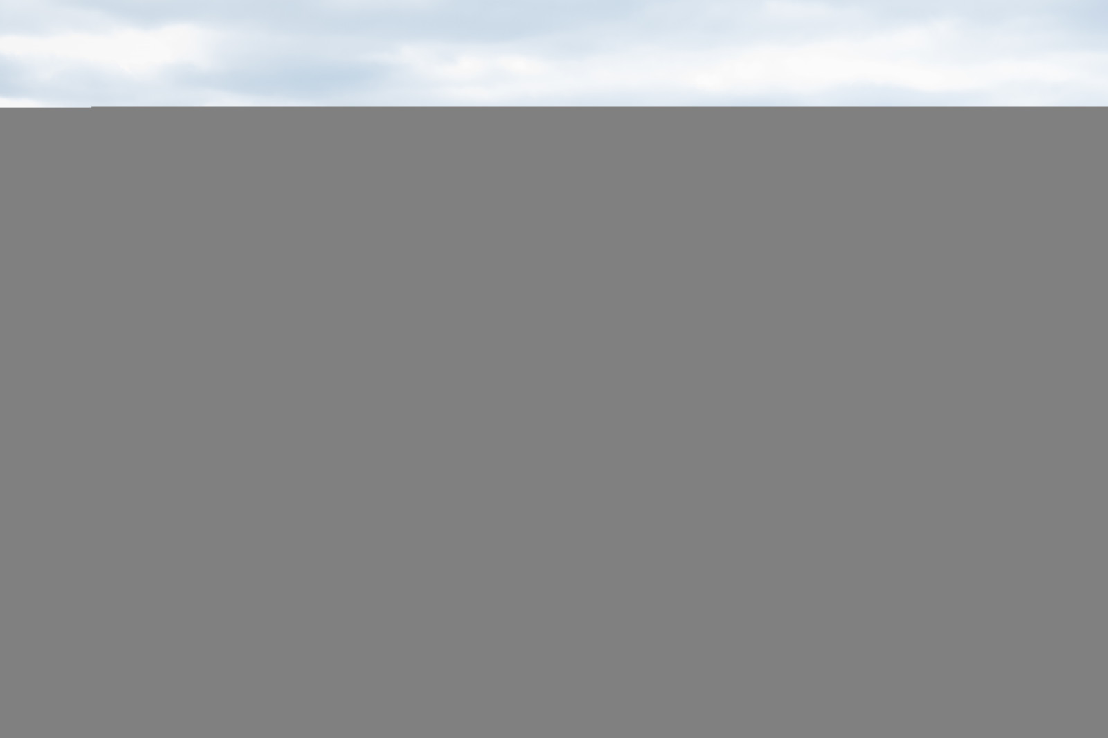 horizont, kráva, čára, hallandsv der, v der n, dobytek, ko, n tkreatur, Snímek obrazovky, ekosystém