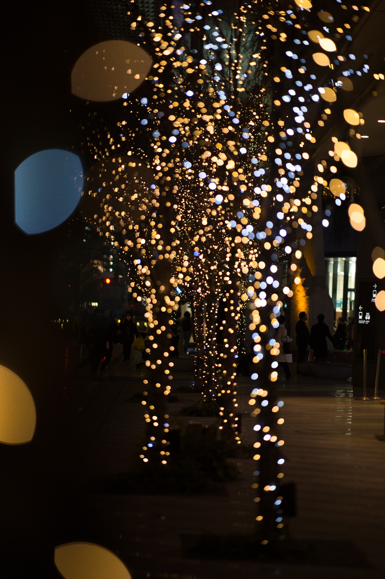Japonsko, noc, odraz, Vánoční strom, Nikon, Vánoce, Vánoční osvětlení, Tokio, jp, světlo, NIKKOR, osvětlení, afs105mmf14eed, afsnikkor105mmf14eed, df, výzdoba, vánoční dekorace, svítidlo