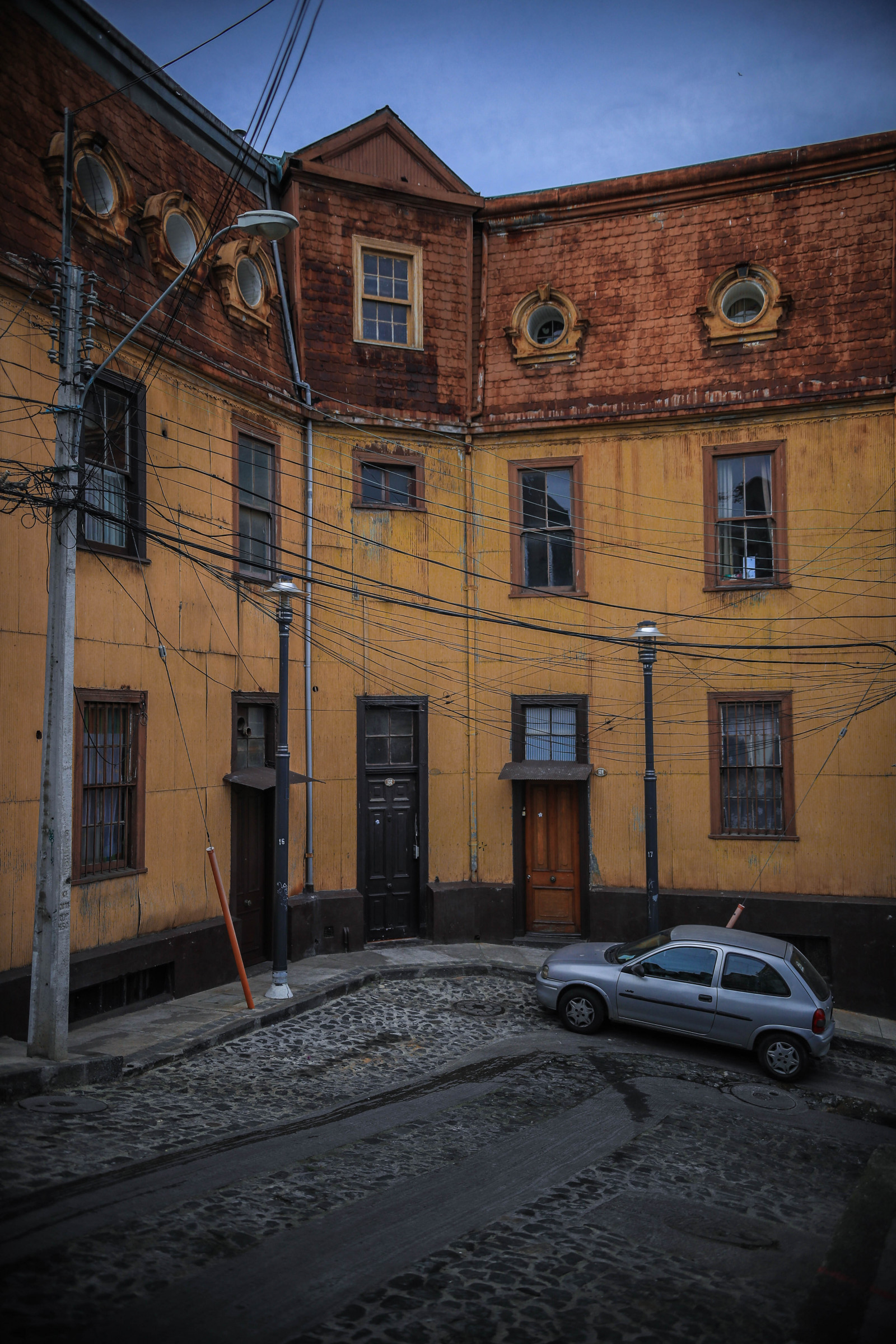 Pes, zvěř, Příroda, smutný, ulice, městský, krajina