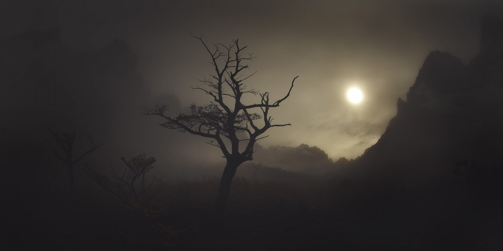 slunečnímu záření, stromy, krajina, temný, noc, Příroda, nebe, stín, větev, svítání, Měsíc, večer, ráno, mlha, měsíční svit, atmosféra, křoví, Chile, soumrak, Patagonia, světlo, mrak, strom, mlha, hora, počasí, svítání, tma, atmosférický jev, 1680x840 px