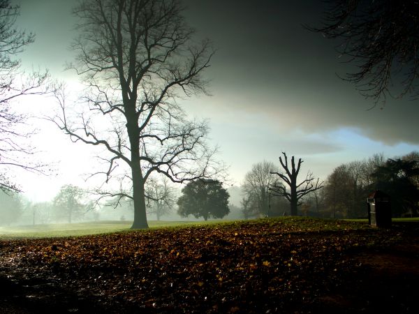 2005,UK,blue,winter,light,shadow