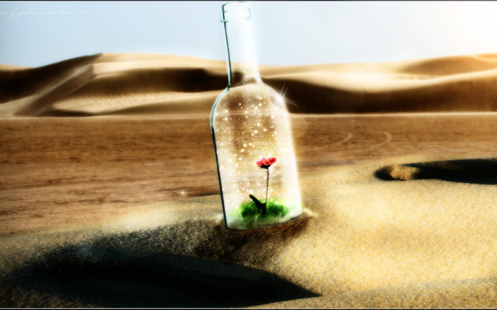 Masaüstü 1920x1200 piksel, SANAT, Bokeh, şişe, CG, kontrast, çöl