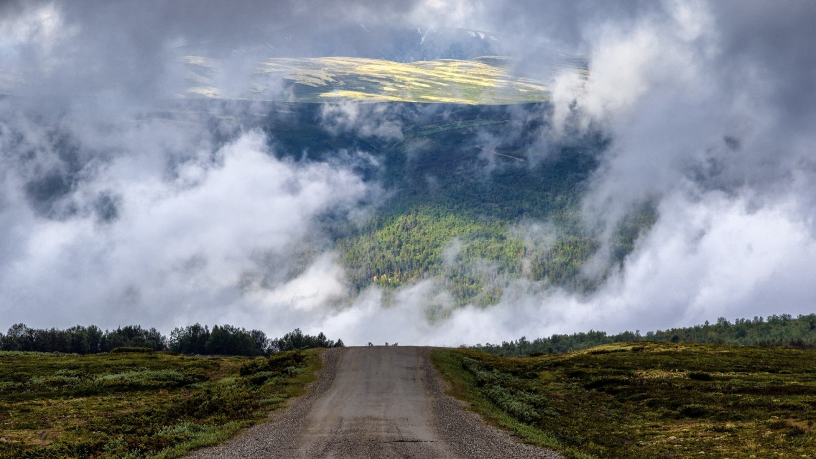 Wallpaper sunlight, landscape, forest, hill, nature, sky, road, Scotland, morning, mist