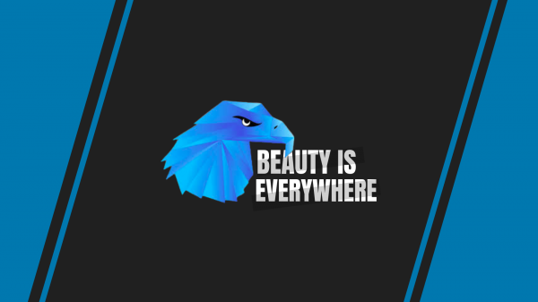 Garuda,Linux,unixporn,Unix,arch Linux