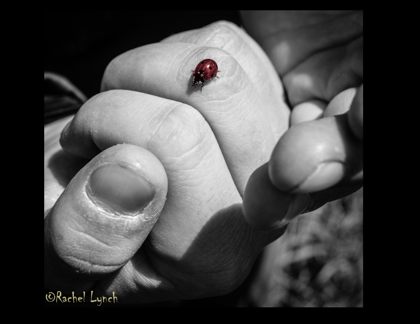 Baggrunde : kontrast, hænder, skygge, tæt på, linjer, mund, hud, insekt ...