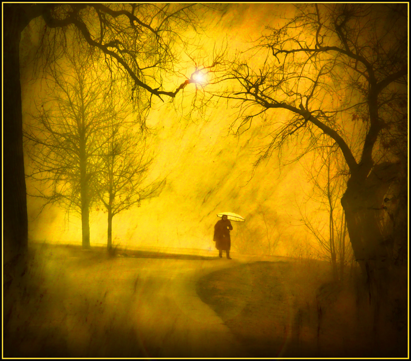 จอด, เก่า, ต้นไม้, ดวงอาทิตย์, สีเหลือง, ร่ม, Photoshop, Canon, แสงจ้า, เวลา, เส้นทาง, เดิน, เสื้อคลุม, อายุ, ทางเดิน, ชั้น, หญิงชรา, อายุ, มรดก, ทางเดิน, texturedlayer, canoneosdigitalrebelxsi, topazadjust, artofimages, bestcapturesaoi, magicunicornverybest, magicunicornmasterpiece, jackaloha2, elitegalleryaoi