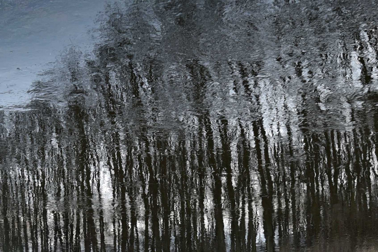 odraz, strom, voda, řeka, wasser, venkovní, pflanze, Fluss, Landschaft, Wald, baum, reflektion, Weeze, Niers, textur