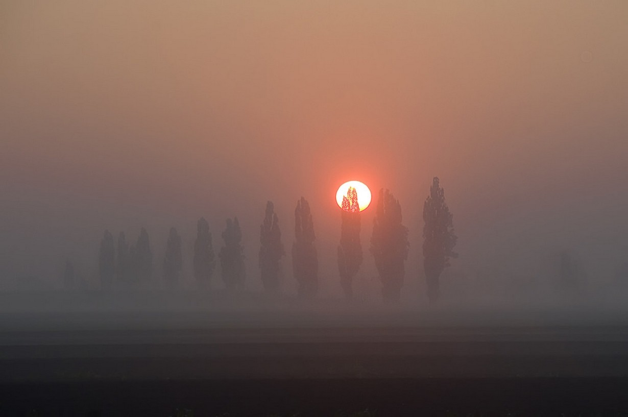 Sonnenlicht, Bäume, Landschaft, Sonnenuntergang, Italien, Natur, Feld, Fotografie, Sonnenaufgang, Abend, Morgen, Nebel, Sonne, Horizont, Atmosphäre, Dämmerung, Dunst, Nebel, Wetter, Dämmerung, Atmosphärisches Phänomen, Nachglühen