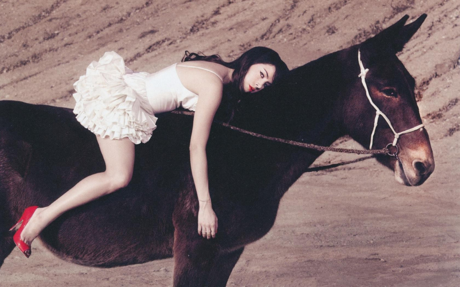 sportovní, ženy, kůň, Aubrey Plaza, 1680x1050 px, kůň jako savci, hřebec, osli, ohlávka