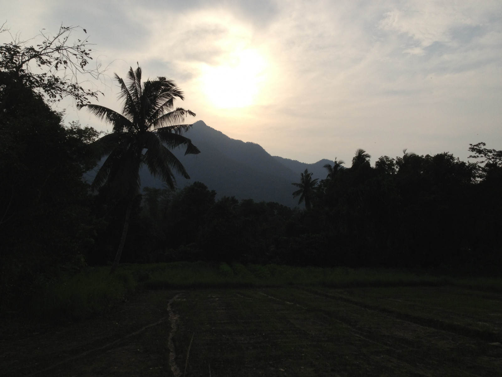 slunečnímu záření, krajina, les, západ slunce, kopec, Příroda, nebe, pole, svítání, večer, ráno, mlha, slunce, horizont, Filipíny, soumrak, mrak, strom, hora, svítání, tma, prostý, venkov, místo výskytu, atmosférický jev, dřevina