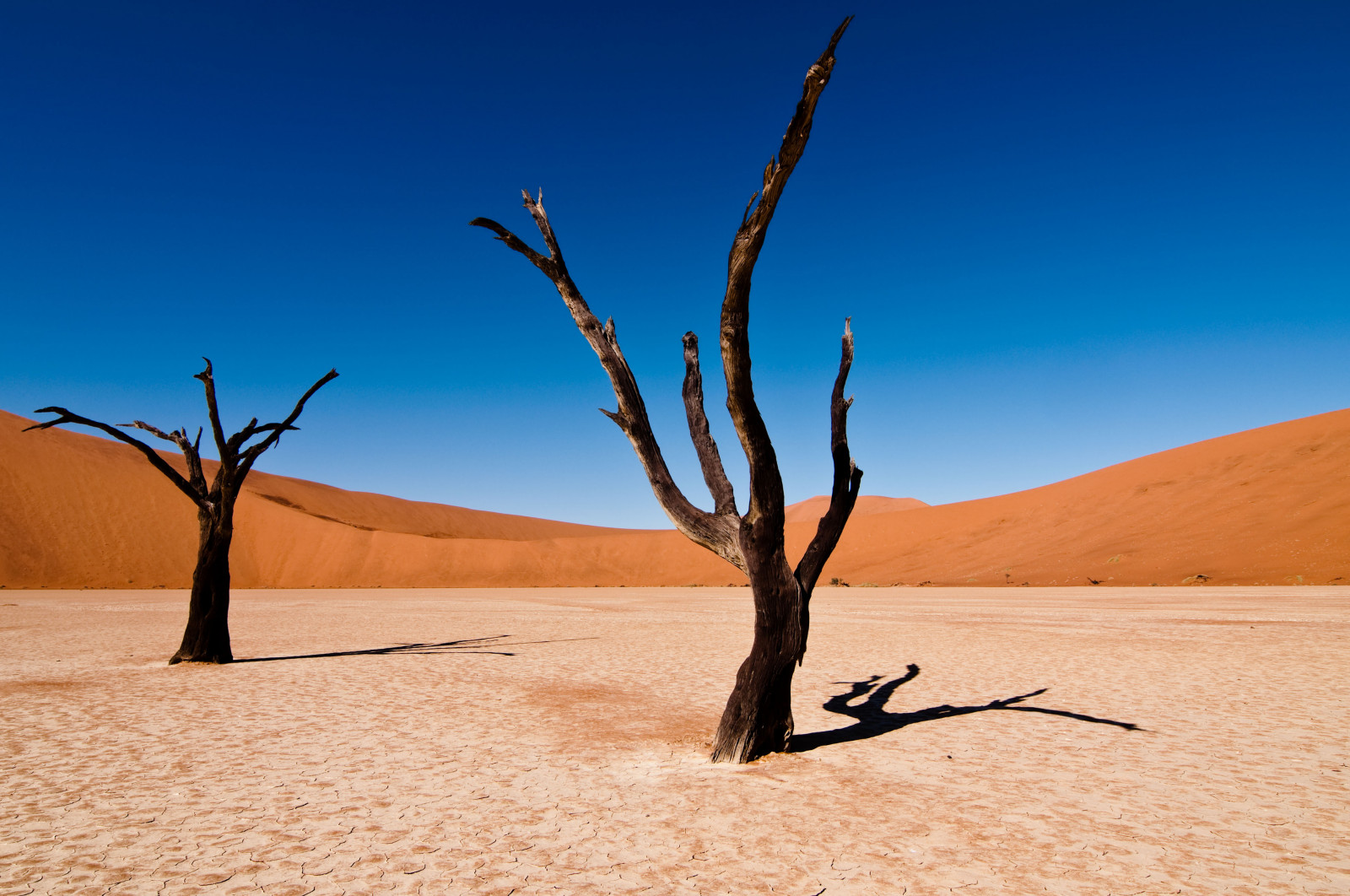 Afrika, modrý, stromy, Červené, nebe, bílý, Příroda, mrtví, Nikon, poušť, úhel, duny, duna, široký, Tokina, afrika, Sesriem, Namibie, Sossusvlei, Namib, Deadvlei, vlei, Namibie, d90, Naukluft