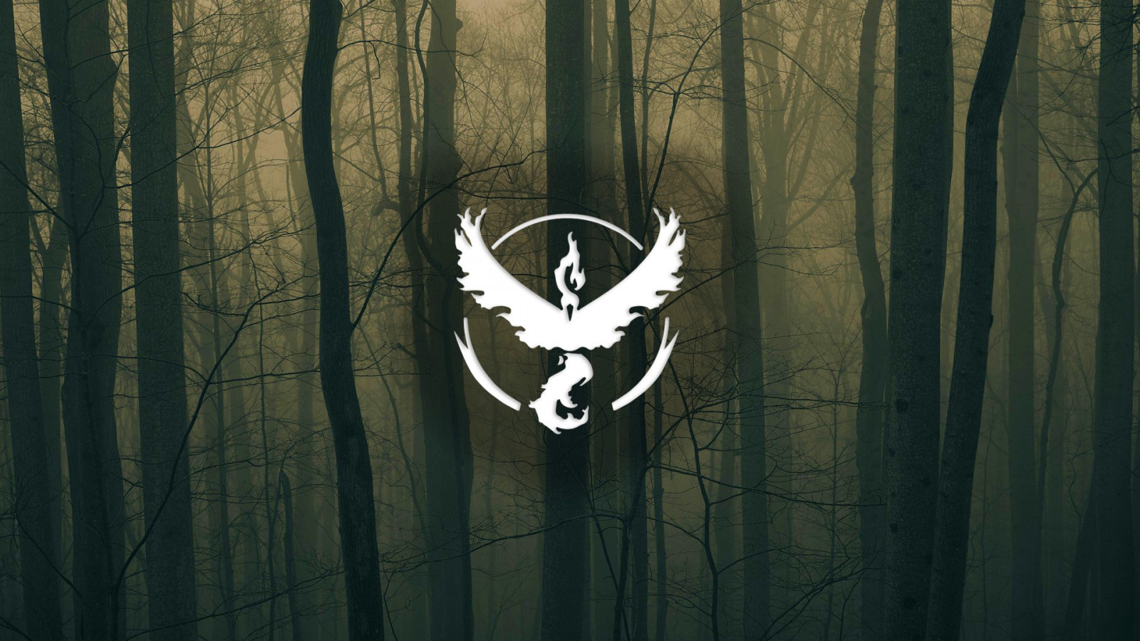 1920x1080 px, pokemon, Team Valor, stromy, bílý